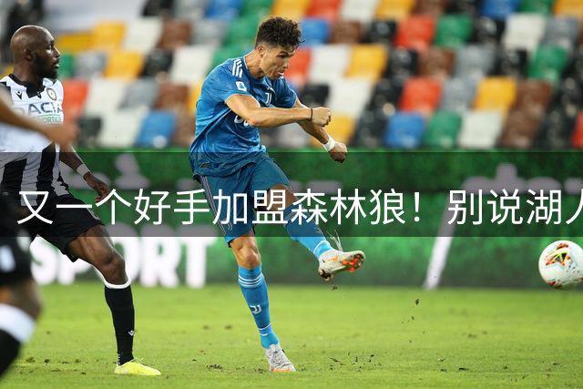 又一个好手加盟森林狼！别说湖人掘金，连雷霆也要担心了